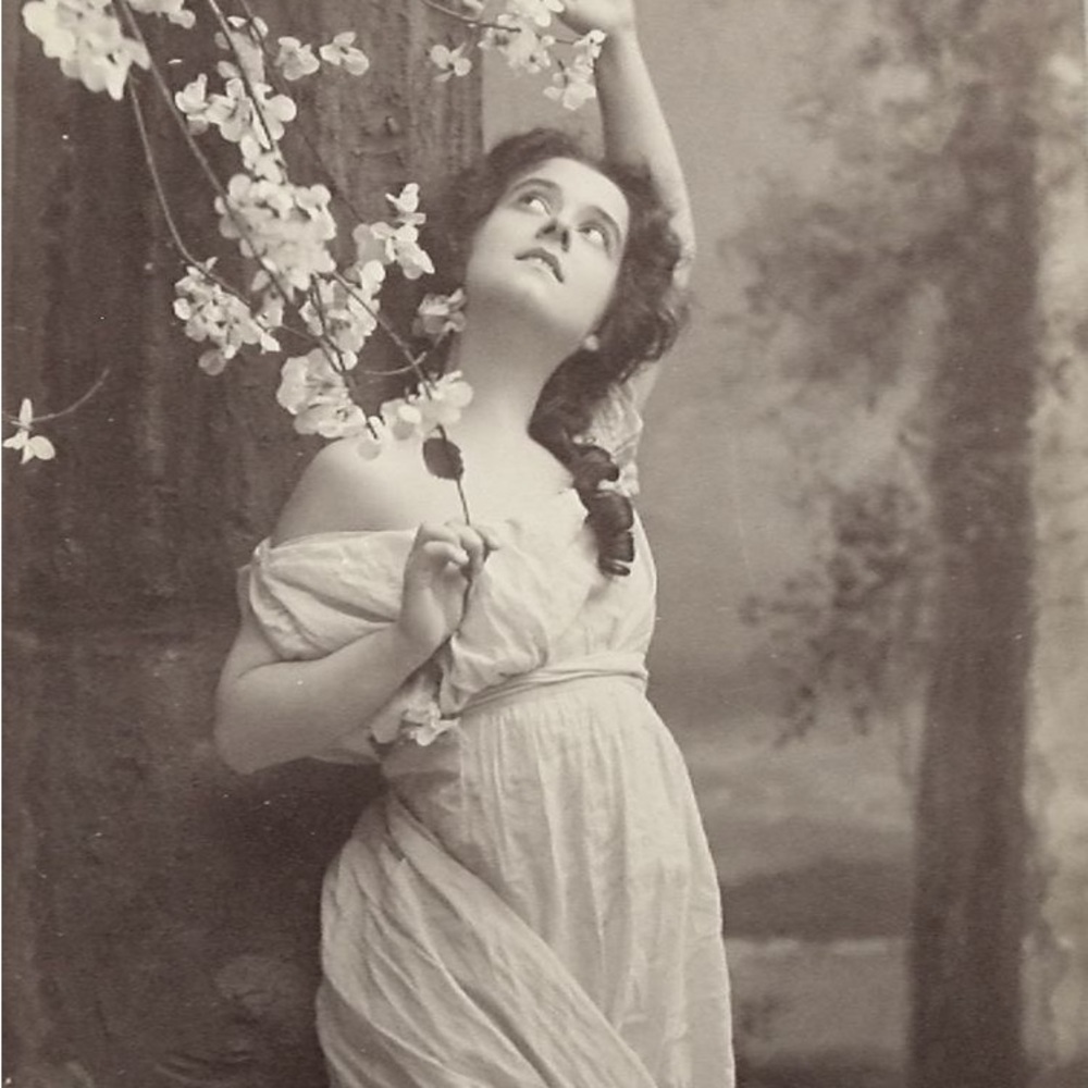 Meet your Posher, Mavis